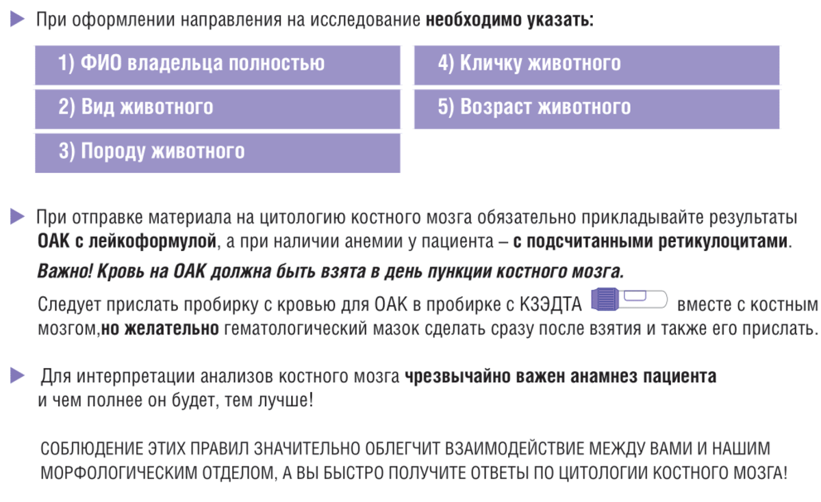 сделать инструкцию гдз (100) фото