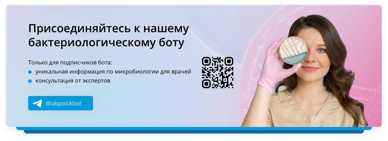 Бот по бак отделу
