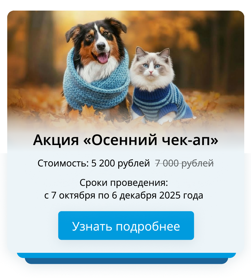 Осенний чек-ап