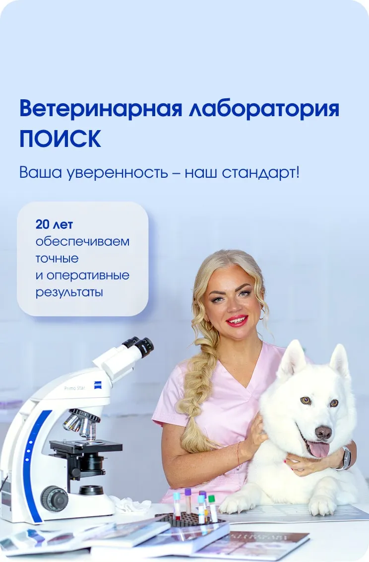 условия сотрудничества v2