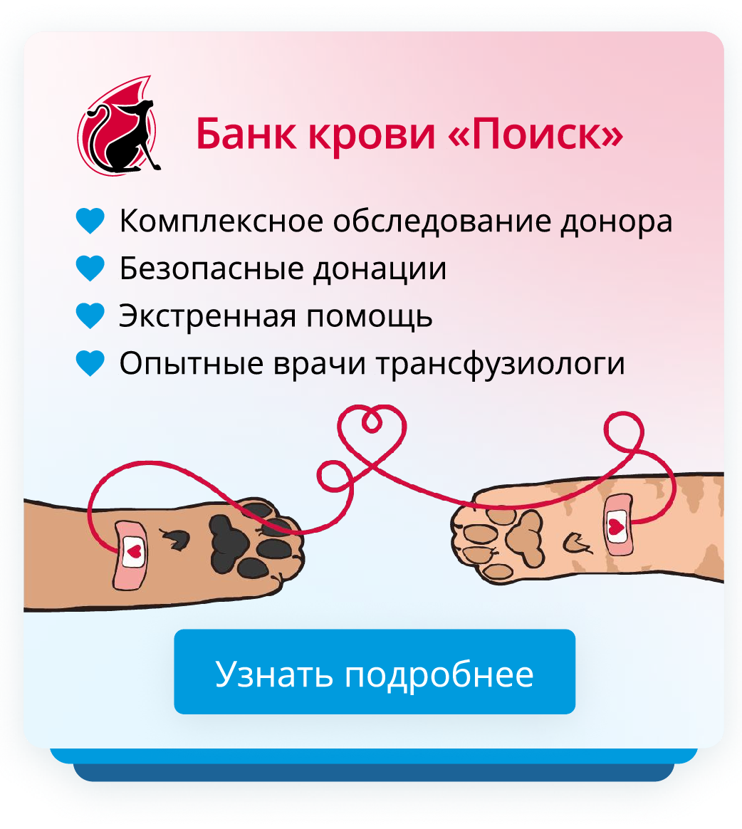 Банк крови
