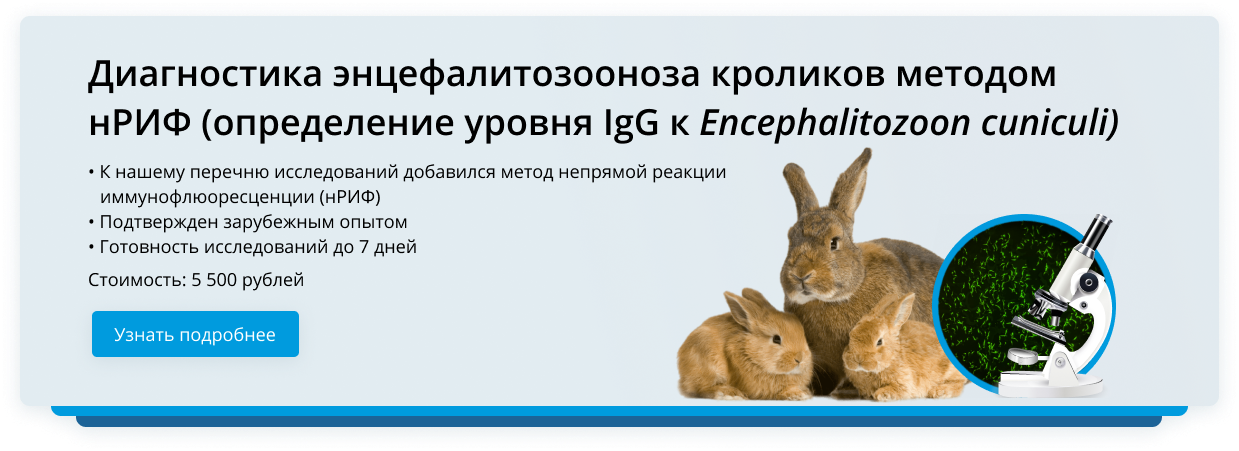 Диагностика энцефалитозооноза кроликов
