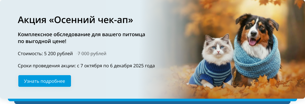 Осенний чек-ап