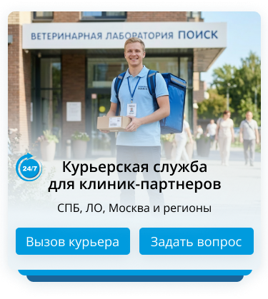 курьерская служба