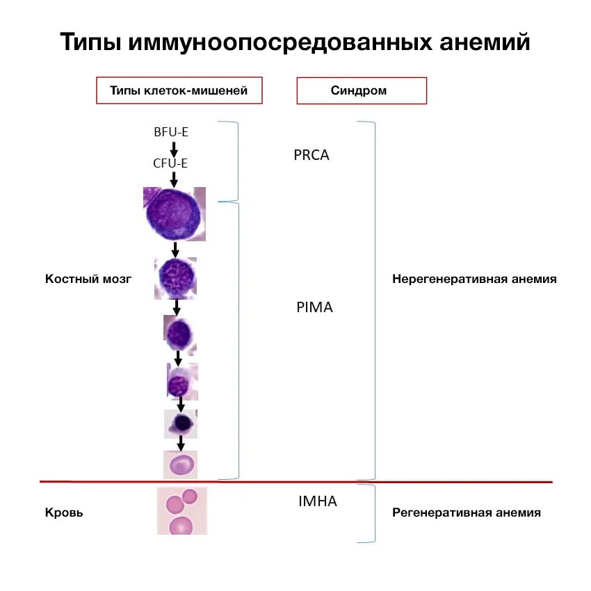 52c17895-2adb-4e09-8845-b5fd5653da6c.jpg