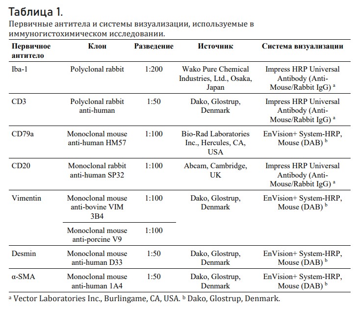 первичные антитела и системы визуализации